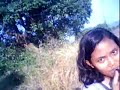 lipay\