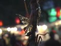 Buggin' in Beijing
