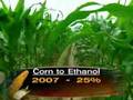 Gold-In-Those-Corn-F