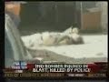 Palestinian Terrorist Is Shot Dead in Dimona Israel