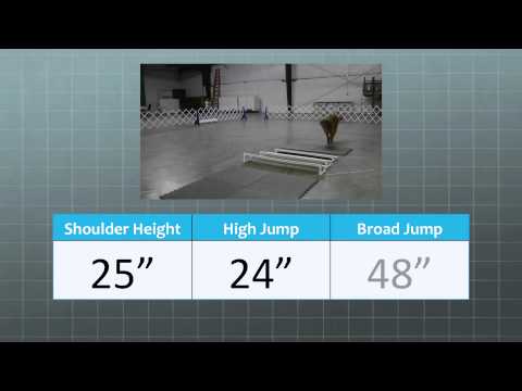 how to measure jumping height