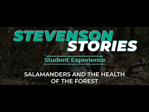 Salamanders, Science, and Stevenson’s Natural Environmental Classroom