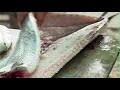 HelloChile - Sprachenservices und Tourismus in Concepción, Chile (Deutsch)