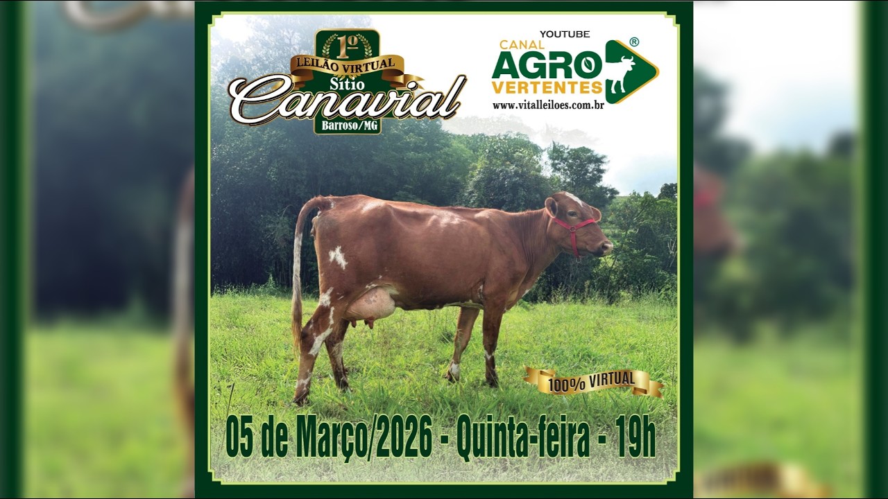 1º LEILÃO VIRTUAL SÍTIO CANAVIAL - BARROSO/MG - 05/03/2026