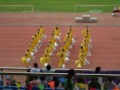 0809 YWGS Sports Day - Hogben 啦啦隊舞