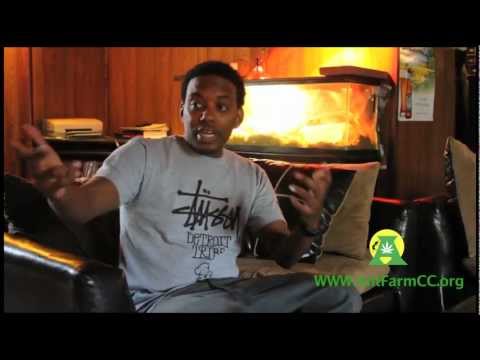 ComedianCP Exclusive Interview with Regular Weed