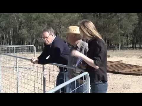 how to help qld farmers
