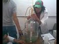 laboratorio QI UAMRA