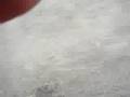 Foto v�deo