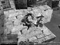 プリンストンテール動画