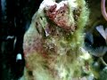 The Saltwater Experience