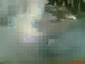 videos de farhads subaru burnout