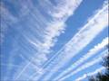 Chemtrail Horrors