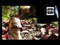 Autumn '07 Canon XL2 Footage