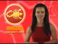 Thumbnail #3