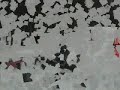 Tochigi Snowboarders