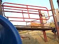 Patrick the toy poodle having fun in the slide