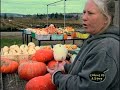 Pumpkin Meat For Pie