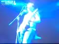 guaguis en la tele panda