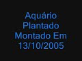 Aquário Plantado 