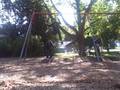 videos de Reids first swing wipe out