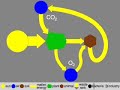 5. WASTE-symbol, Cycles & Pollution (Ecolanguage)