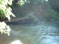 videos de Melancia Quente