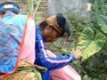 seni benjang1