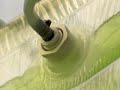 ALGAE -- THE HOLY GRAIL OF BIOFUEL?