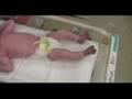 Londyn Faith Marie Labrum