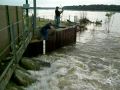 videos de Shooting Jumping Carp at Swan Lake