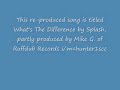 What's The Difference.wmv