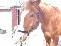 Re: My New Big Boy
