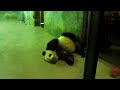 TaiShan Rollover!