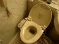 Japanese Loo