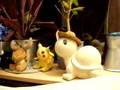 Sony DSC-T200 Test