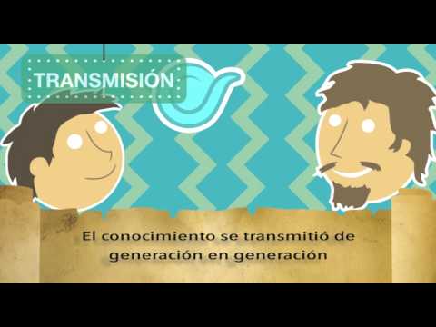 herbolaria - Historia de la herbolaria mexicana - Pahtli.