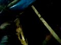 Wilmer777 - Cumple dito (Damaris)