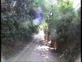 Sendero Los Casta�ares-Constantina-Sierra Norte Sevilla