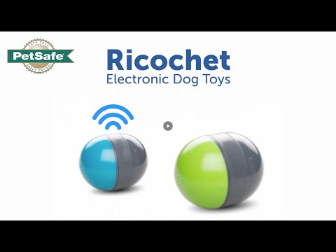 PetSafe Ricochet Electronic Dog Toy, Medium