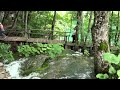 Vízesések Plitvicén - wwwplitvicehu