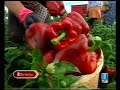 Escapada a Villanueva de los Infantes (EDirecto 25-9-06)