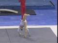 Rheagan Courville - 2007 US Classic FX