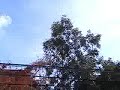 800x zoom