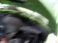 1600cc VW BEETLE ENGINE FOR SALE ON EBAY