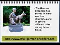 German Shepherd Dog tips German Shepherd Dog tips