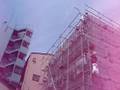 足場撤去　外装ペンキ塗装終わりました！