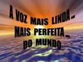 Tears For Fears ( Roland Orzabal - Homenagem )