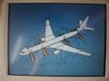 Etihad Airways A330 safety demo