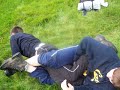 Josh and Colm fighting on D of E